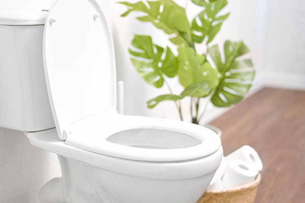 Residential Plumbing Repair Services